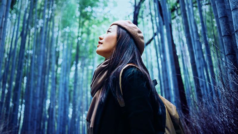 5G connectivity is fundamental to Europe achieving climate targets, new analysis reveals