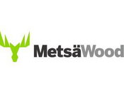 Changes in Metsä Wood's Management Team