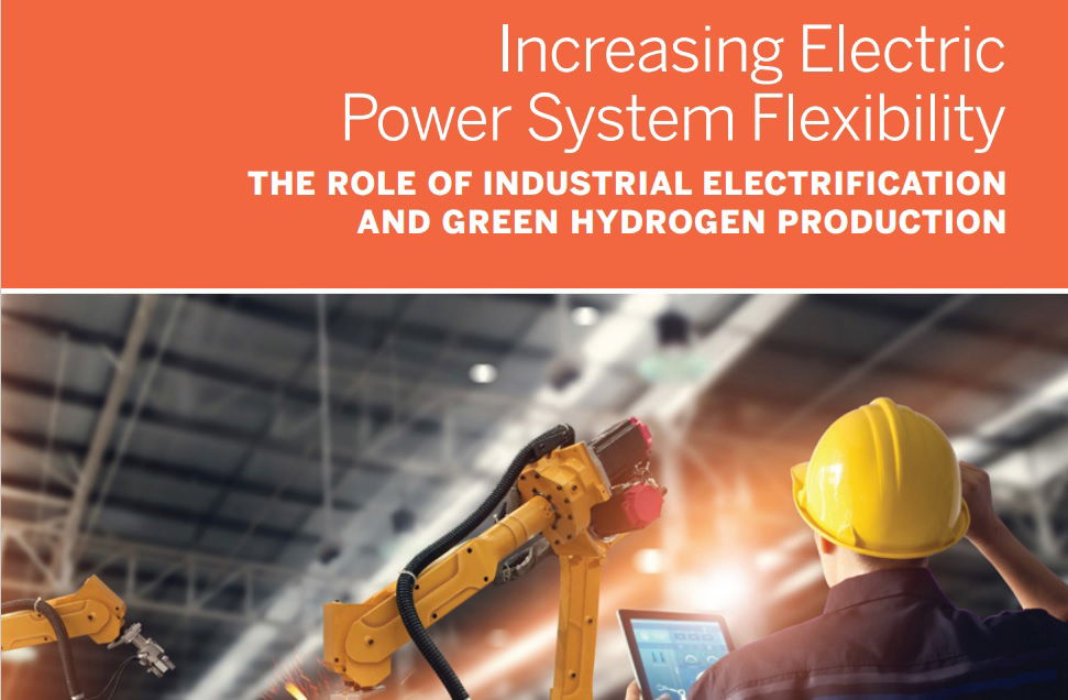 OBTAINING ELECTRIC POWER SYSTEM FLEXIBILITY FROM THE INDUSTRIAL SECTOR