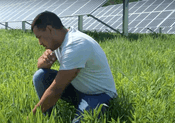 Video: Building Back Stronger with Distributed Energy and Resilience