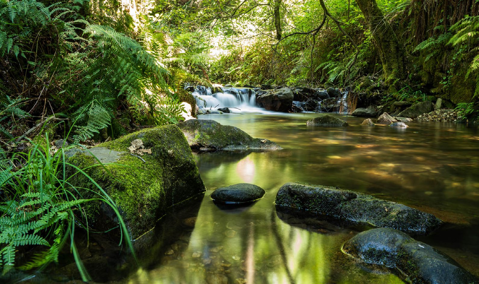 Johnson Controls Launches 2022 Sustainability Report