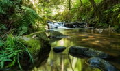 Johnson Controls Launches 2022 Sustainability Report