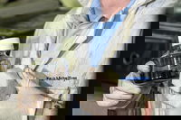 Cars could get a ‘flashy’ upgrade