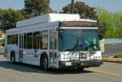 Stantec to Lead Comprehensive Transit Services Study for Beach Cities Transit