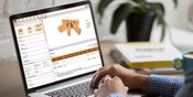 Simpson Strong-Tie Adds Hanger Selector App to Suite of Software and Web Applications for Architects, Engineers and Contractors