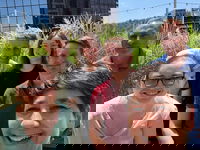 Ideate Software is Growing Again