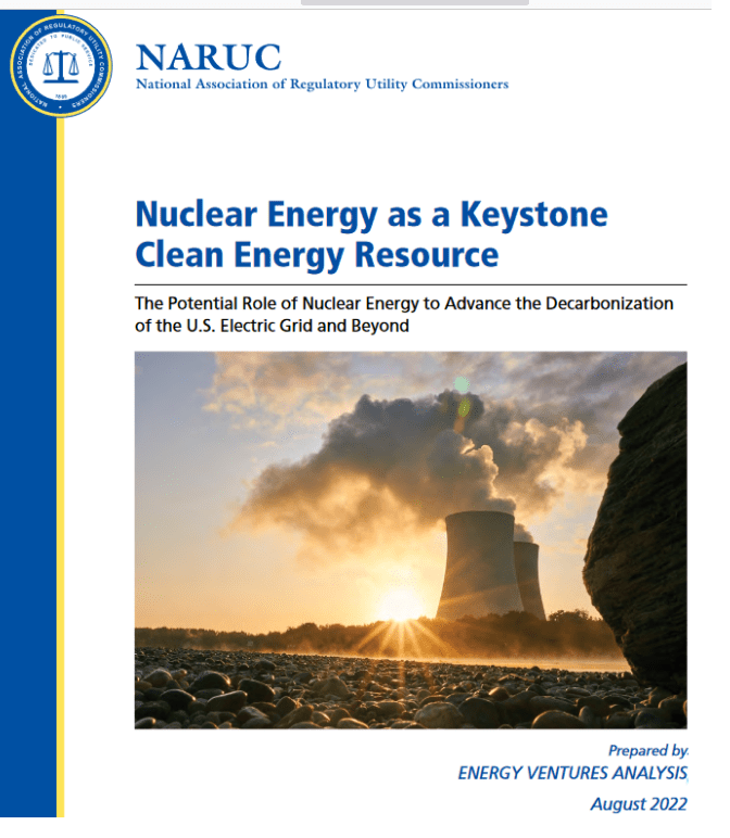 The Role of Nuclear Generation in the Clean Energy Transition Explored in New White Paper
