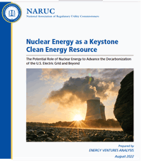 The Role of Nuclear Generation in the Clean Energy Transition Explored in New White Paper