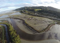 Wetlands Restoration: White Slough Project Engineers a Model for the Future