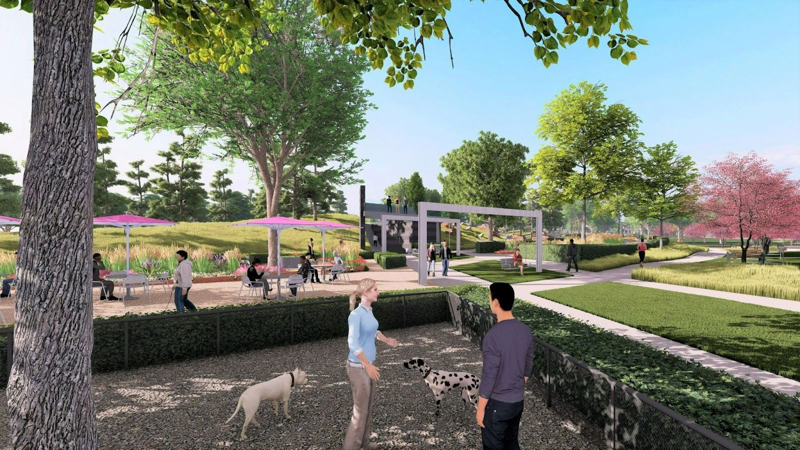 Windler Community is Redefining Aurora