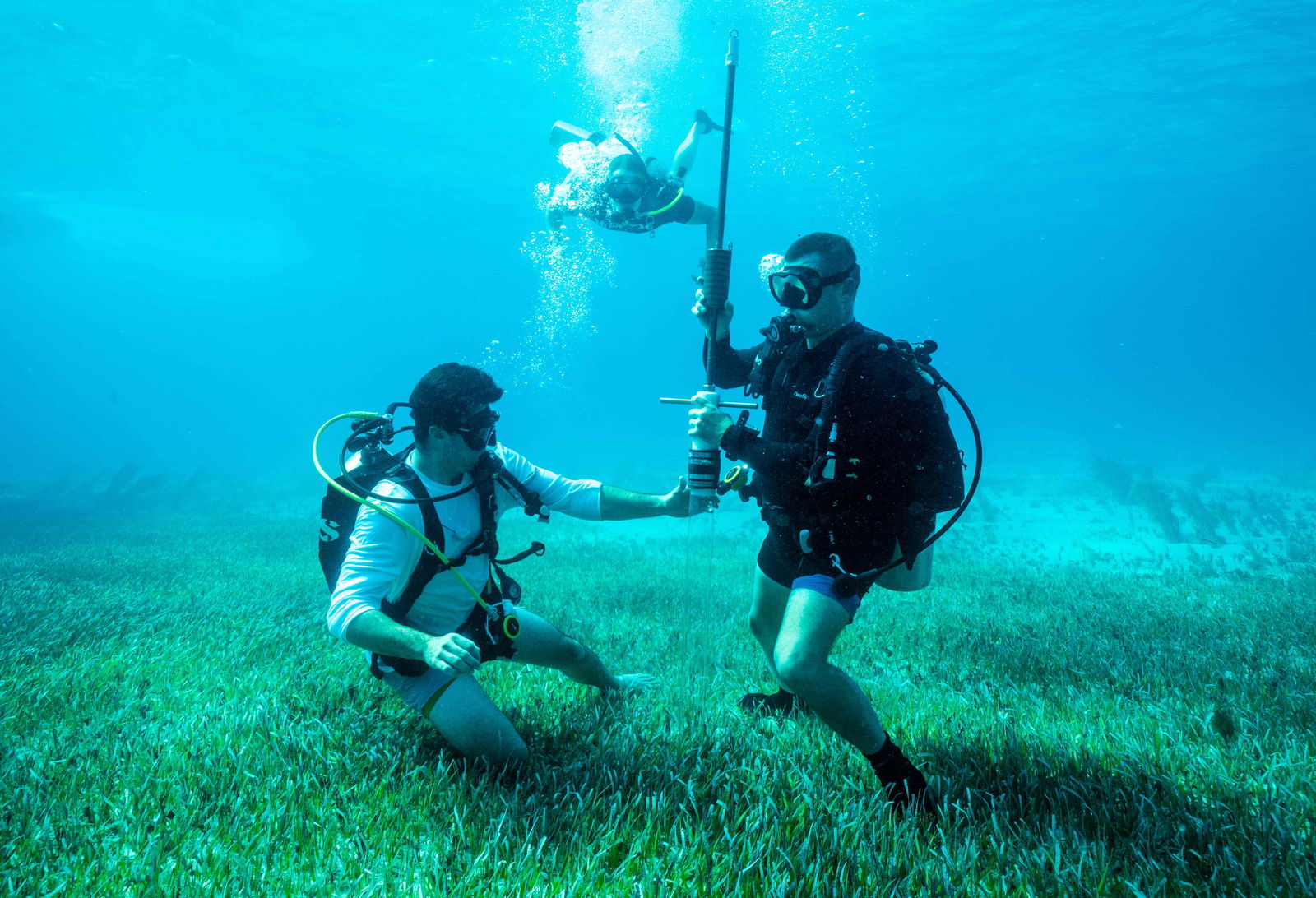 Hexagon’s R-evolution enables blue carbon credits for the world’s largest seagrass ecosystem