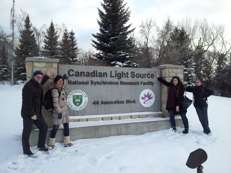 Innovative fuels for Small Modular Reactors