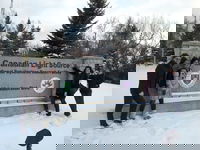 Innovative fuels for Small Modular Reactors