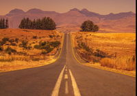 Novel Road Surfaces Could Be Key To Living With Climate Change