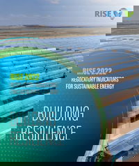 Pandemic Recovery Efforts Trigger New Energy Access Policies: New RISE Report