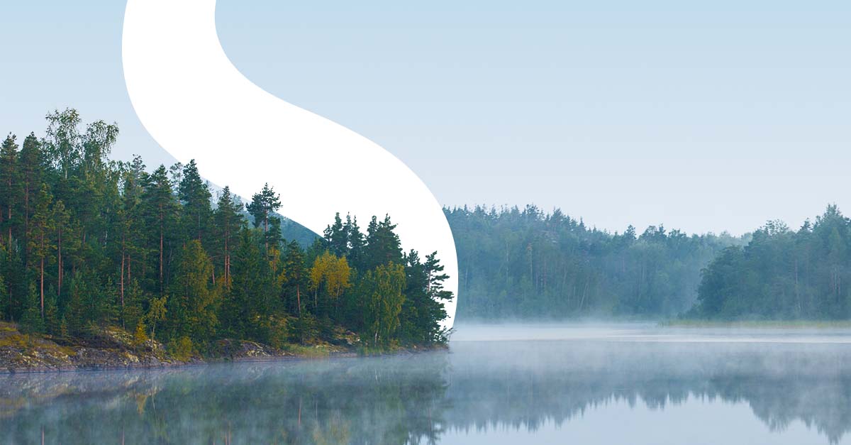 WSP USA Honored for Business, Engineering and Sustainability Contributions