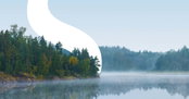 WSP USA Honored for Business, Engineering and Sustainability Contributions
