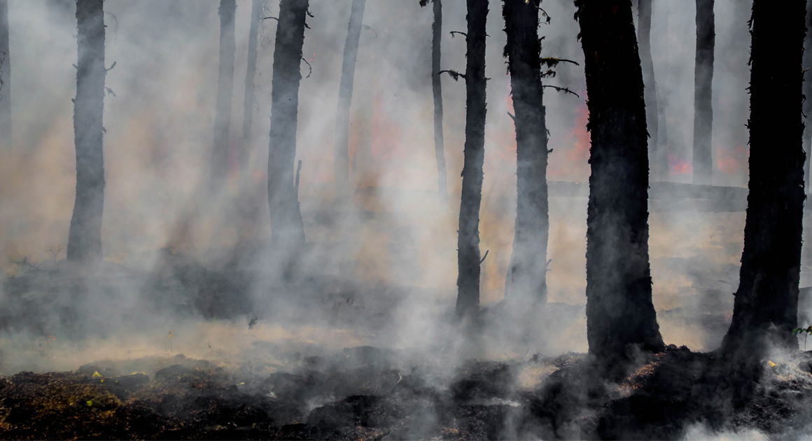 Research project underway to prepare water utilities for wildfire events