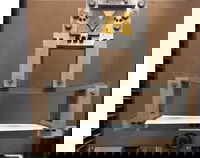 Bendable Concrete and Carbon Sequestration