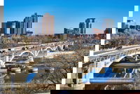 BrIM Bridges the Gap Over the Mississippi