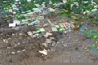 This Drone Data Marketplace Prevents Destruction from Climate Disasters