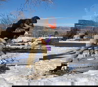 Wildfire Endangers Drinking Water: Lessons from Colorado’s Marshall Fire