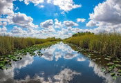 To Inform and Engage Residents Across Miami in Climate Resilience, Knight Foundation Invests in Two Local Groups