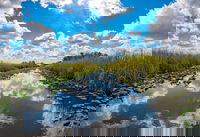 To Inform and Engage Residents Across Miami in Climate Resilience, Knight Foundation Invests in Two Local Groups