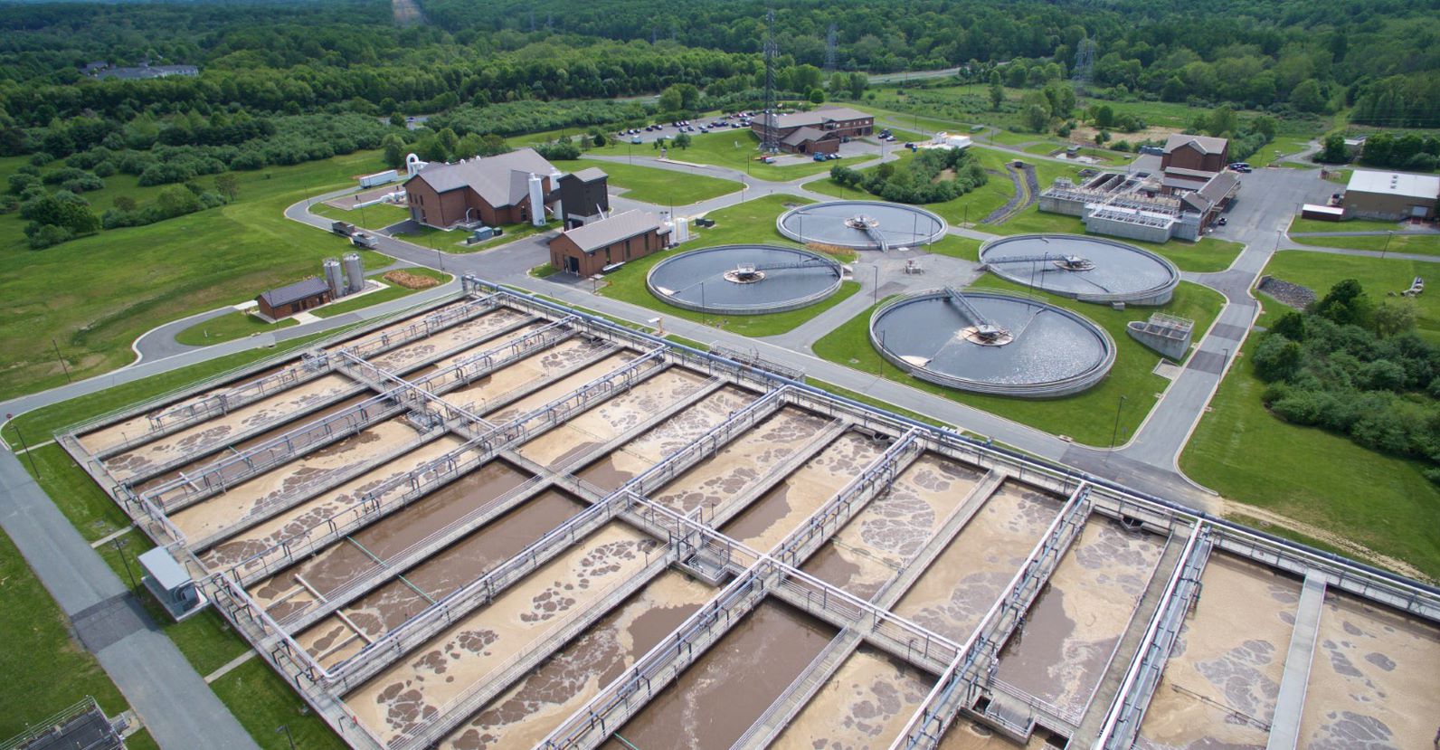 Research team completes pioneering nutrient removal study