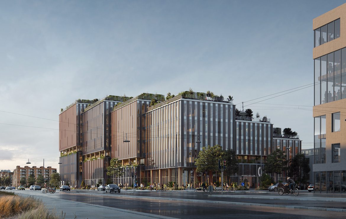 Partner in sustainability: A conversation with Ramboll