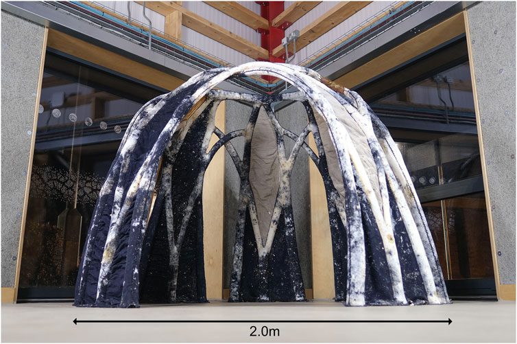 Scientists Knit Futuristic Eco-Building Designs Using Fungal Networks