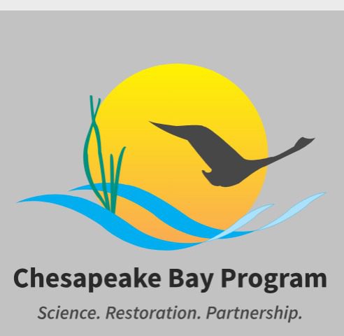 New Chesapeake Bay Program Data Shows Decline in Tree Cover, Increase in Impervious Surfaces Across Watershed