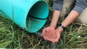 MSU researcher examines agricultural conservation practices to reduce environmental impact on Great Lakes