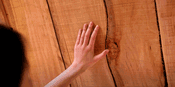 Introducing A.I. TIMBER: The Future of Sustainable Construction