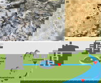 New Study Finds That Sewage Release Is Worse for Rivers Than Agriculture