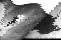 Thousands expected to enter global photo competition highlighting beauty, sustainability and essential role of concrete throughout world.