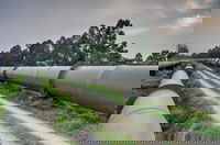 Stantec enters design phase for US$100 million Tampa Bay Water potable water supply project in Hillsborough County