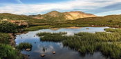 Effects of the EPA WOTUS SCOTUS Decision on Engineering