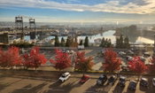 WSP Opens New Office in Tacoma, Closer to Major Clients It Serves