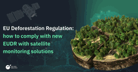 How to comply with new EUDR with satellite monitoring solutions