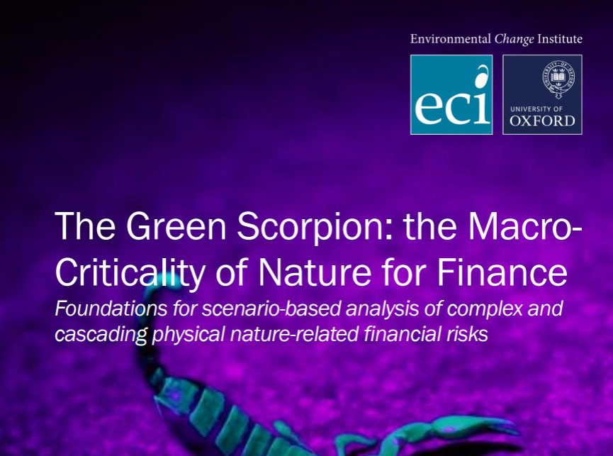 $5 trillion in nature-related global economic risks will amplify climate change - Oxford study