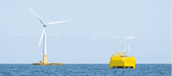 The Sealhyfe Project