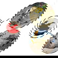 FleetWatcher Introduces Small Tools and Attachment Tracking Functionality