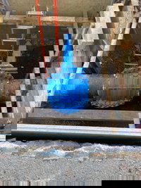 AVT Supporting the US Economy via the BABA Act