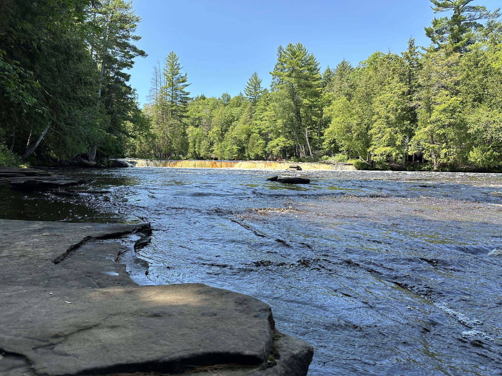 MSU researchers build connection between forests and drinking water, outreach and conservation strategies follow