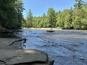 MSU researchers build connection between forests and drinking water, outreach and conservation strategies follow