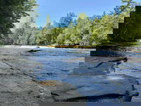 MSU researchers build connection between forests and drinking water, outreach and conservation strategies follow