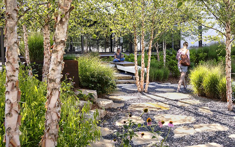 New Guides for Landscape Architects Offer Practical Steps to Achieve Zero Emissions by 2040