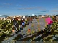 KAI Breaks Ground on Transformative Community Center in Jennings, MO