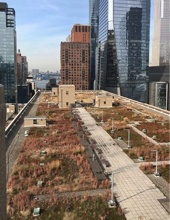 Award Winning Adaptive Reuse Tishman Speyer Transforms Morgan
